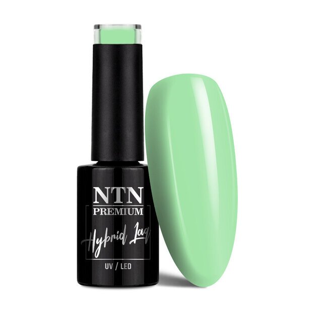 Ilgalaikis gelinis nagų lakas NTN 179, 5 g