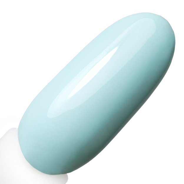 NTN Premium Nr. 422 gēla nagu laka, 5 g